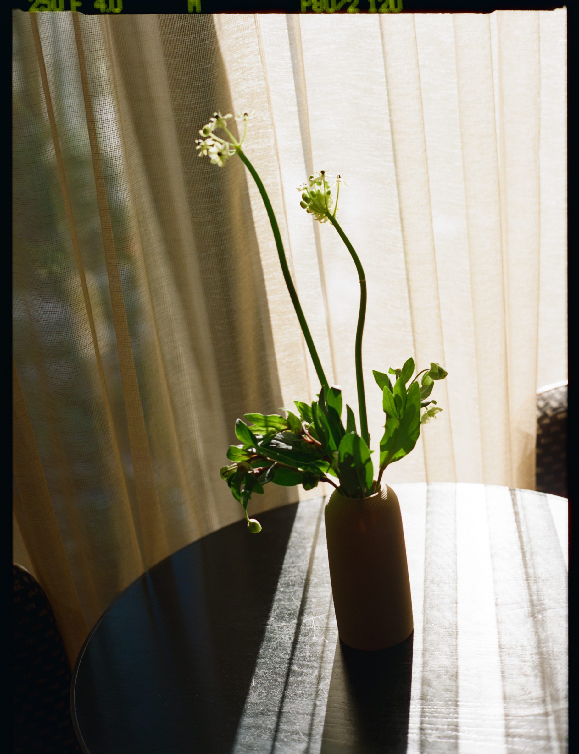 Occasion photography, Vizcaya Museum