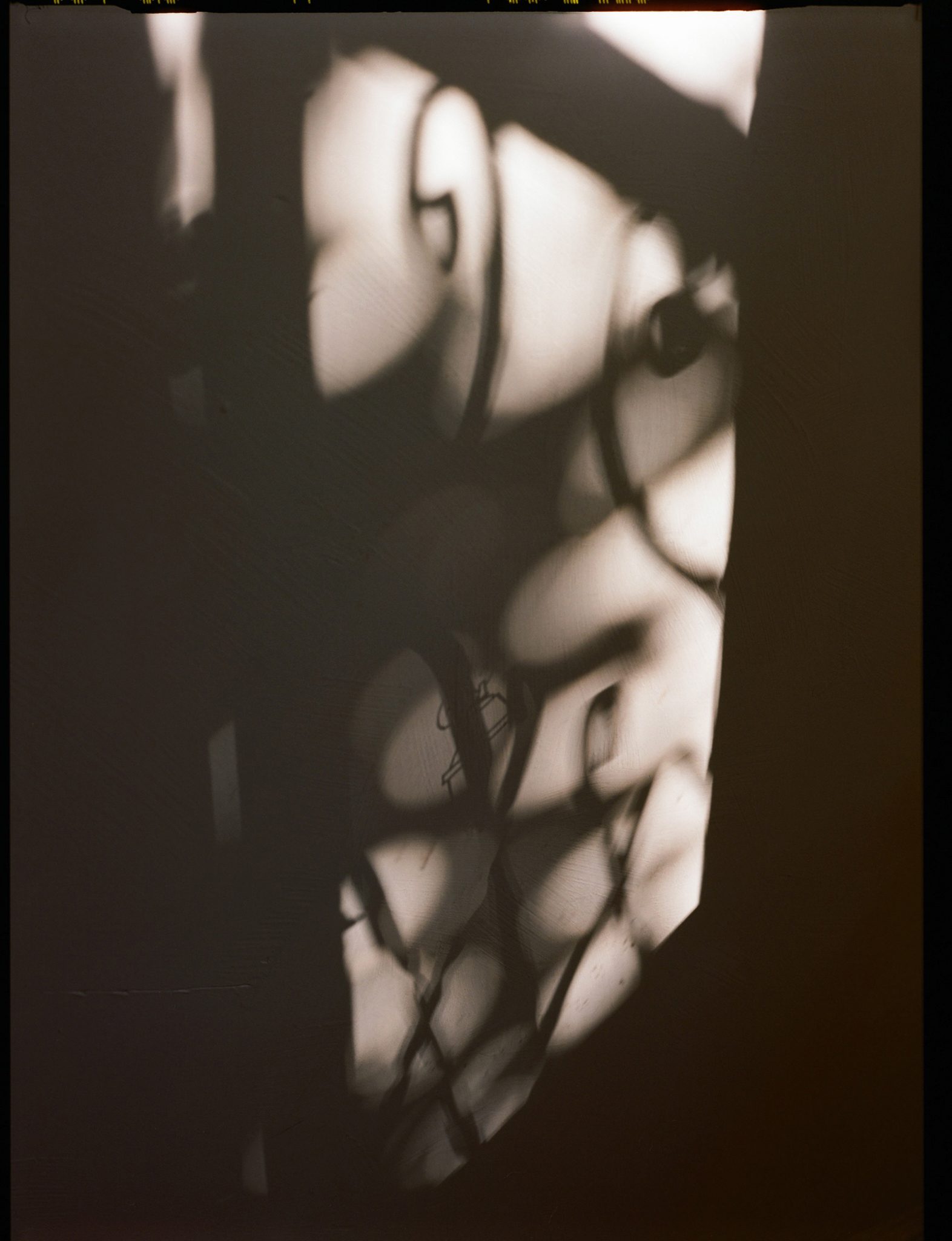 Ali Valdez x Peter and Paul editorial portrait