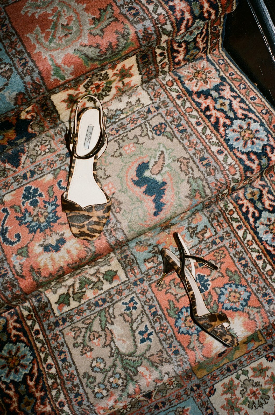 Neptune Memires x Alicia Valdez private commission